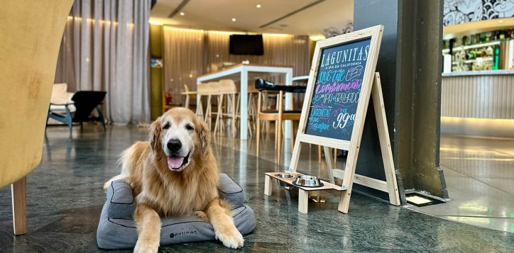 pet-friendly-1-copia-2