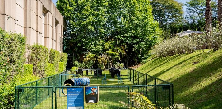 www-tbfoto-com-braccor-pullman-guarulhos-h8923-guarulhos-sp-3-2